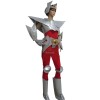 Saint Seiya Pegasus Seiya cosplay costume