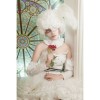 Black Butler Doll Princess Cosplay Costumes