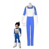 Dragonball Kai Vegeta 3nd Version Cosplay Costume