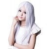 Pretty Girls' Anime Medium Long Gray Straight Cosplay Party Hair Full Wigs