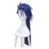 Fate Stay Night Lancer Long Blue Synthetic Cosplay Wigs