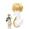 Bungou Stray Dogs Doppo Kunikida Gold Cosplay Wigs