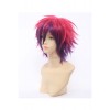 No Game No Life Sora Cosplay Wigs Gradient color Hair Wigs