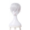 Land of the Lustrous Houseki no Kuni Antarcticite Silver White Cosplay Wigs