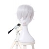 Land of the Lustrous Houseki no Kuni Antarcticite Silver White Cosplay Wigs