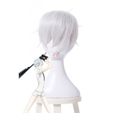 Land of the Lustrous Houseki no Kuni Antarcticite Silver White Cosplay Wigs