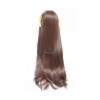 Fruits Basket HondaTooru Brown Long Cosplay Wigs