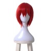 Mahō Tsukai no Yome Chise Hatori Cosplay Red Wigs