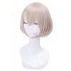 Re: Zero-Starting Life in Another World Felix Argyle Short Cosplay Wigs ML234