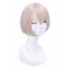 Re: Zero-Starting Life in Another World Felix Argyle Short Cosplay Wigs ML234