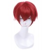 Ranma ½ Dark Red Ranma Saotome Short Cosplay Wig Women Hair