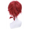 Ranma ½ Dark Red Ranma Saotome Short Cosplay Wig Women Hair