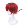 Ranma ½ Dark Red Ranma Saotome Short Cosplay Wig Women Hair