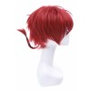 Ranma ½ Dark Red Ranma Saotome Short Cosplay Wig Women Hair