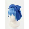 Touhou Project The Embodiment of Scarlet Devil Cirno Cosplay Costume