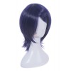 Persona 5 Yusuke Kitagawa Short Mixed Color Straight Cosplay Wigs